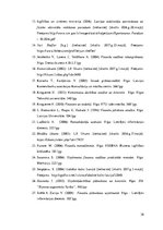 Referāts 'Studiju projekts - aktīvu analīze', 38.