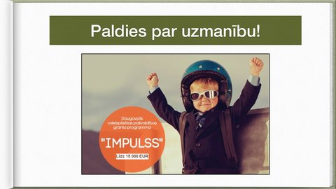 Prezentācija 'Granta konkursa “Impulss” realizēto projektu analīze', 9.