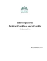 Paraugs 'Sprādzienbīstamība un ugunsbīstamība', 1.