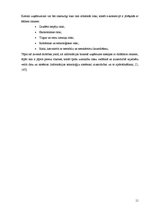 Referāts 'E-komercijas darījumu drošību tehnoloģijas', 11.