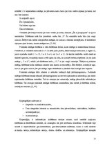 Referāts 'E-komercijas darījumu drošību tehnoloģijas', 18.