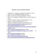 Referāts 'E-komercijas darījumu drošību tehnoloģijas', 28.