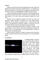 Referāts 'Elektriskā strāva dažādās vidēs', 11.