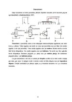 Referāts 'Elektriskā strāva dažādās vidēs', 18.