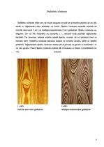 Referāts 'Nepareizs šķiedru sakārtojums koksnē', 4.