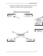 Referāts 'Konkurence', 3.