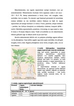 Konspekts 'Zemkopības likuma darbība', 3.