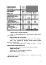 Referāts 'Viesnīcas finanšu rādītāju analīze', 6.