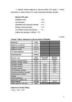 Referāts 'Viesnīcas finanšu rādītāju analīze', 7.