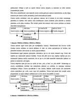 Referāts 'Zīmola brieduma modelis', 6.