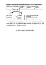 Referāts 'Zīmola brieduma modelis', 8.