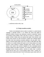 Referāts 'Pircēju uzvedību ietekmējošo faktoru izpēte a/s "Hansabanka"', 7.