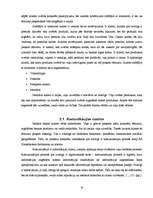 Referāts 'Pircēju uzvedību ietekmējošo faktoru izpēte a/s "Hansabanka"', 10.