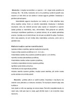 Referāts 'Mācīšanās traucējumi', 5.