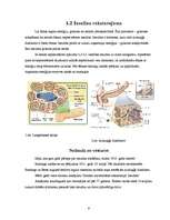 Referāts 'Cukura diabēts', 9.