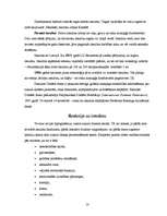 Referāts 'Cukura diabēts', 10.