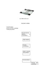Referāts 'Ekodizains: elektroniskie svari', 6.
