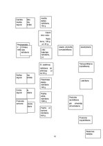 Referāts 'Ekodizains: elektroniskie svari', 12.