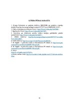 Referāts 'Ekodizains: elektroniskie svari', 19.