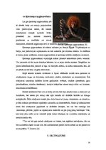 Referāts 'Ķermeņa apgleznošanas māksla', 14.