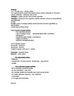 Konspekts 'Bioloģija', 1.