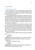 Referāts 'Plānošanas loma mūsdienās', 16.