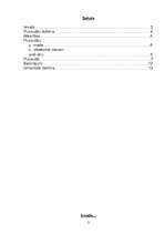 Referāts 'Pusaudžu ikdiena', 2.