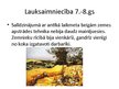 Prezentācija 'Lauksaimniecība viduslaikos posmā no 7. līdz 13.gadsimtam', 2.