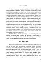 Referāts 'Austrumu filosofiskās domas galvenās idejas', 9.