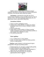 Prakses atskaite 'Prakses vietas raksturojums- Valsts Stendes selekcijas stacija', 13.