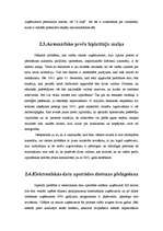 Referāts 'Eiro', 14.