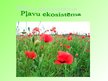 Prezentācija 'Pļavu ekosistēma', 1.