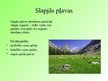 Prezentācija 'Pļavu ekosistēma', 17.