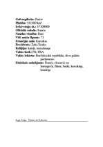 Referāts 'Pikaso un kubisms', 2.