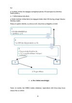 Referāts 'Stacionārs, nestacionārs process. ARIMA procesi. Box-Jenkina metodoloģija', 10.