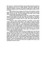 Eseja 'Interpretācija par Zigmunda Skujiņa stāstu "Sapņi"', 2.