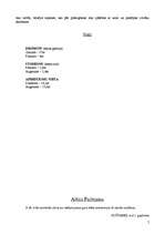 Referāts 'Pieci pasaules brīnumi Grieķijā', 7.