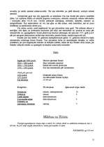 Referāts 'Pieci pasaules brīnumi Grieķijā', 12.