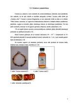 Referāts 'Dzintars', 3.