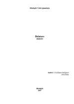 Referāts 'Dzintars', 5.