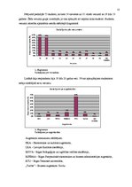 Referāts 'Lomogrāfija kā viens no mūsdienu fotogrāfijas veidiem', 10.