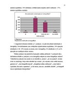 Referāts 'Lomogrāfija kā viens no mūsdienu fotogrāfijas veidiem', 13.