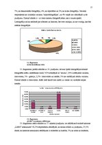 Referāts 'Lomogrāfija kā viens no mūsdienu fotogrāfijas veidiem', 17.