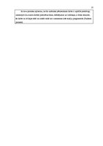 Referāts 'Lomogrāfija kā viens no mūsdienu fotogrāfijas veidiem', 23.