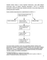 Prakses atskaite 'Prakses atskaite uzņēmumā SIA "Bogumir"', 9.