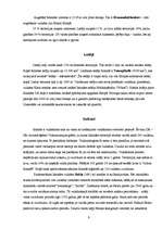 Referāts 'Islande', 4.