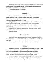 Referāts 'Islande', 13.