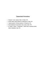 Referāts 'Sadzīve seno un viduslaikukultūras vēsturē', 12.