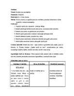 Konspekts 'Kvalifikācijas eksāmens pirmsskolā', 2.