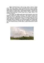 Referāts 'Ekoloģiskās problēmas', 5.